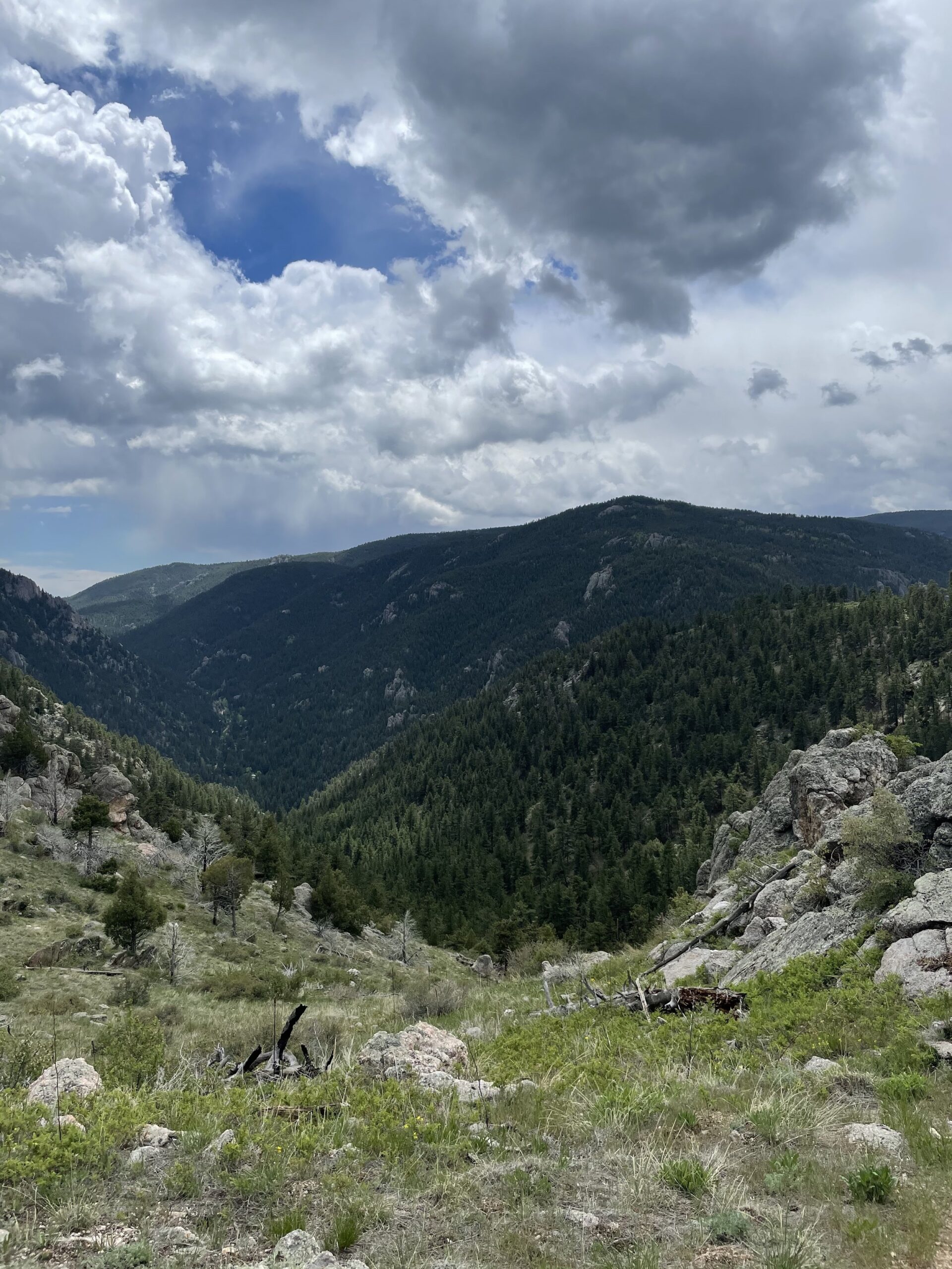 Sullivan Gulch Trail: A Quick Hidden Gem in Northern Colorado